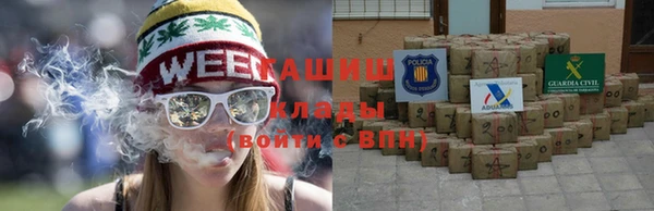 СК Елизово