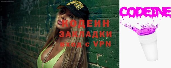 СК Елизово