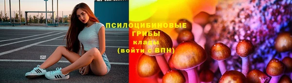 прущий лед Елабуга