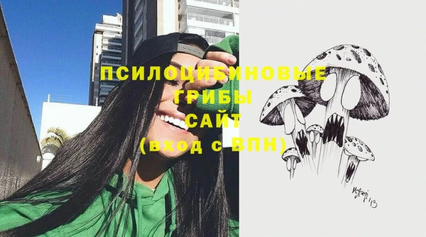 прущий лед Елабуга