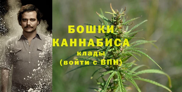 СК Елизово