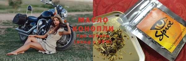 СК Елизово