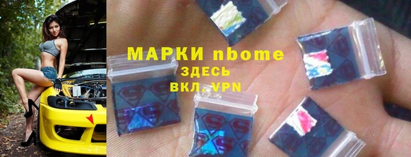 СК Елизово