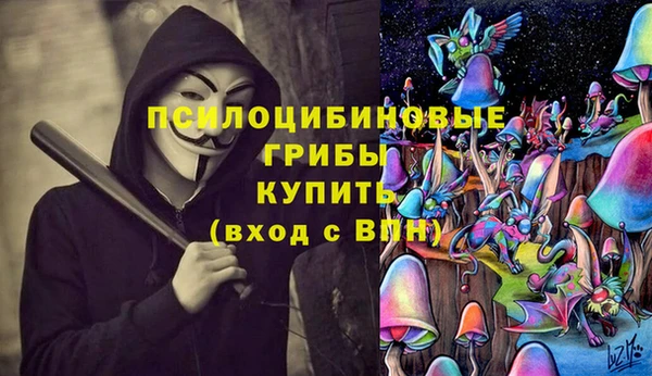 СК Елизово